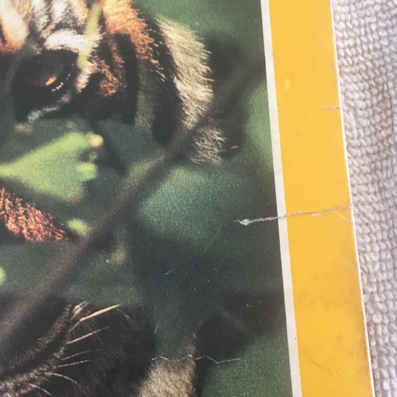 National Geographic Vol. 181 No. 5 May 1992 - Picture 4 of 14